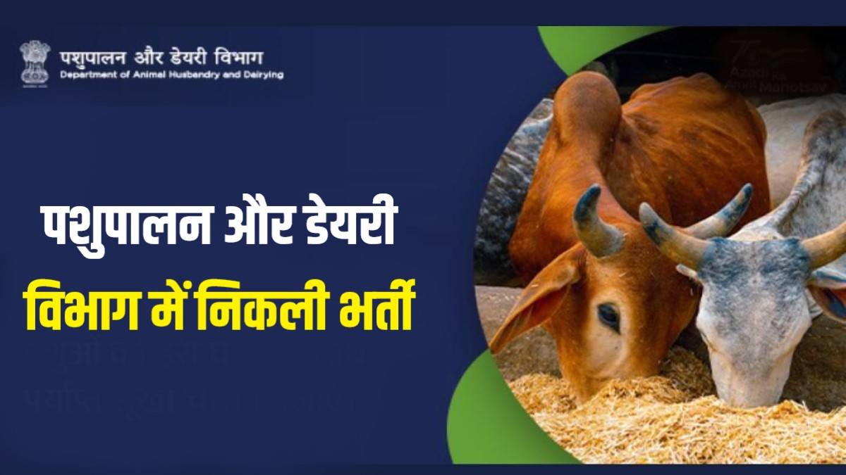 Animal Husbandry and Dairy Department Bharti 2023 | पशुपालन और डेयरी विभाग में निकली भर्ती, Apply Now