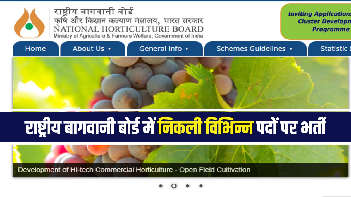 National Horticulture Board Bharti 2023 | राष्ट्रीय बागवानी बोर्ड में निकली विभिन्न पदों पर भर्ती, Apply Now