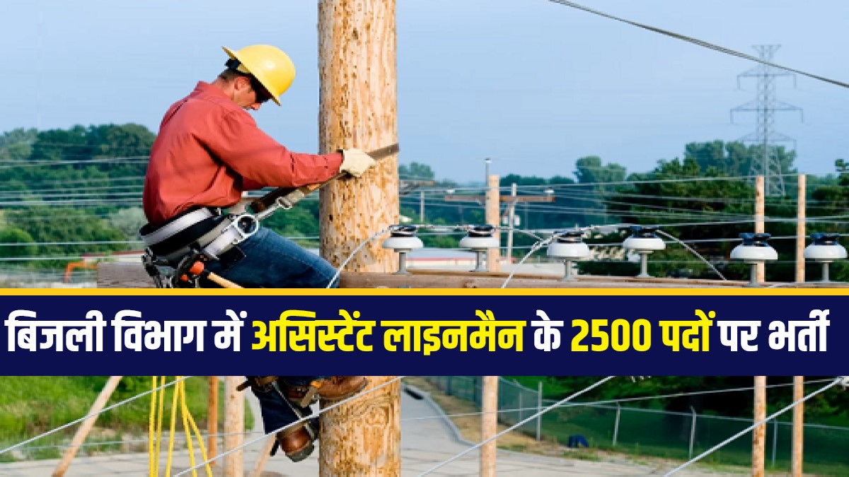 Punjab Assistant Lineman Bharti 2024 | पंजाब बिजली विभाग में असिस्टेंट लाइनमैन के 2500 पदों पर भर्ती
