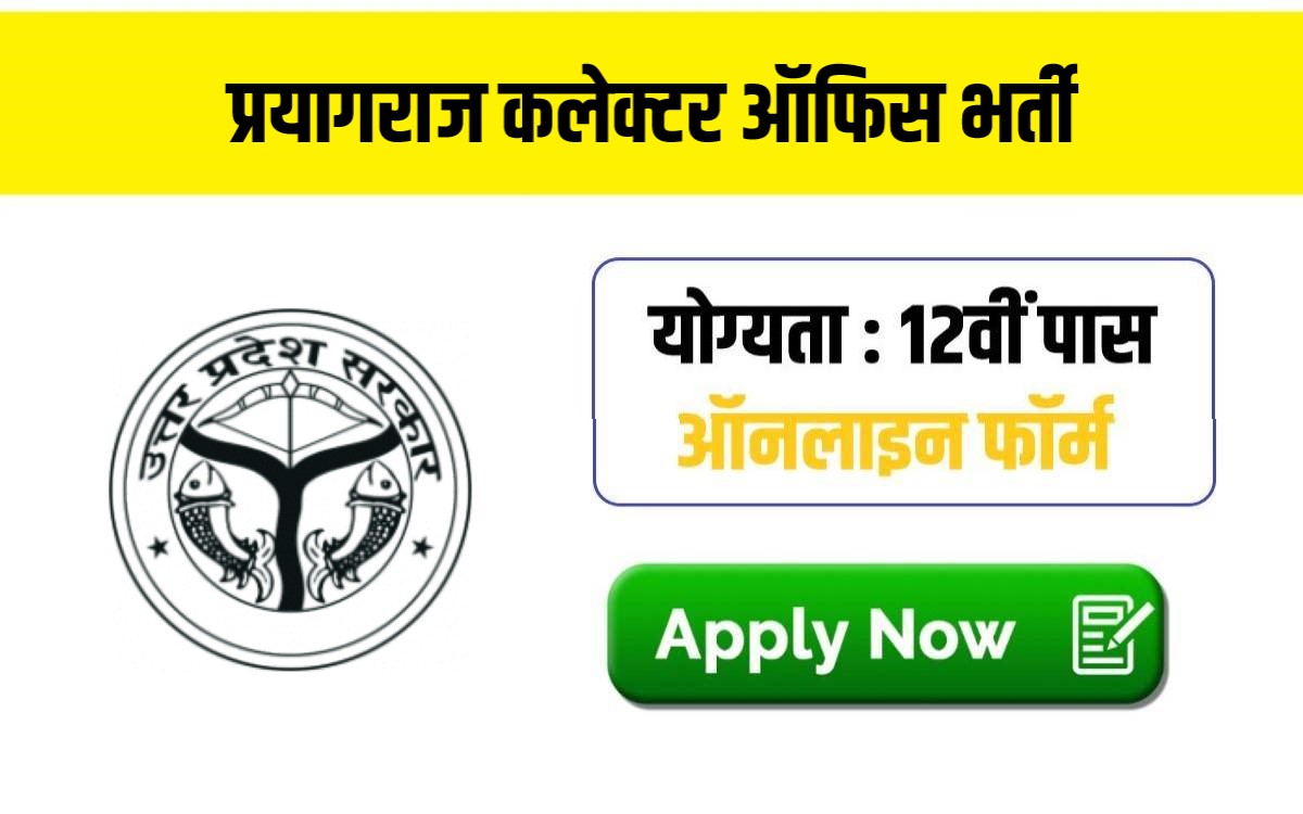 Collector Office Prayagraj Recruitment 2024 | प्रयागराज कलेक्टर ऑफिस भर्ती, फटाफट करें आवेदन