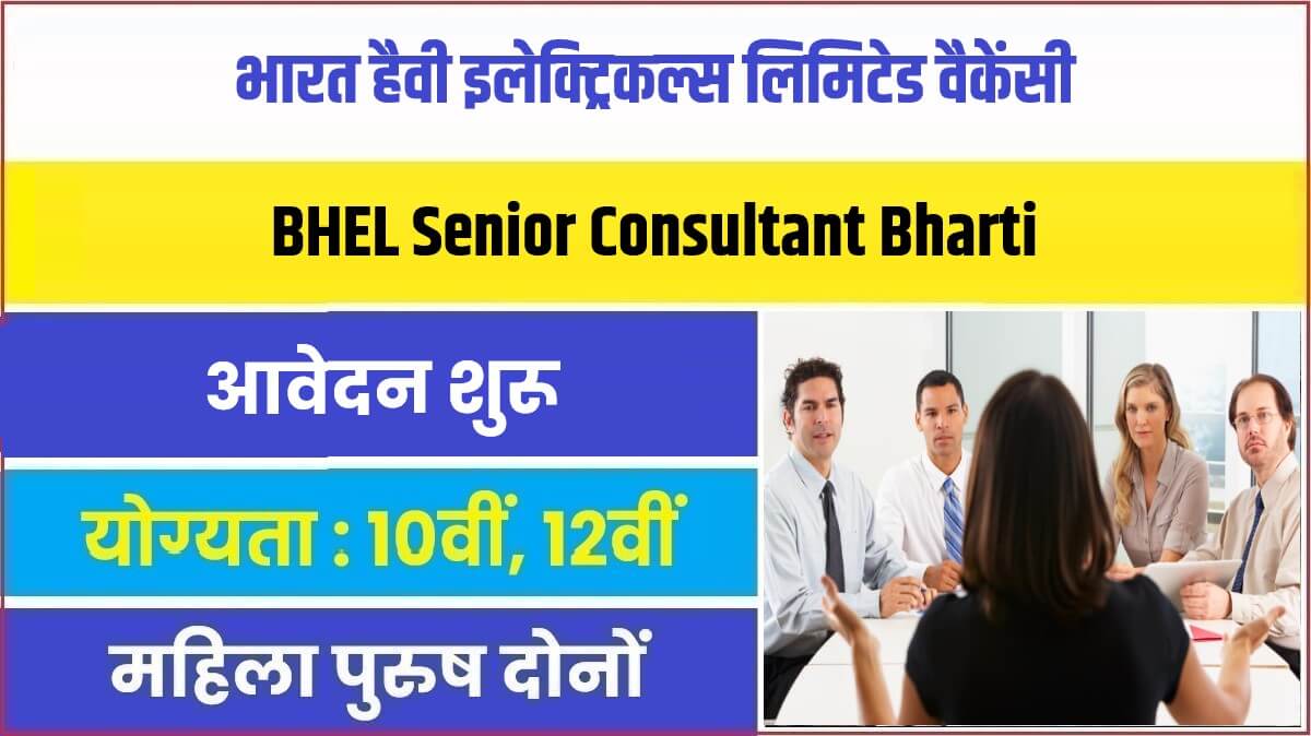 BHEL Senior Consultant Bharti 2023 | भारत हैवी इलेक्ट्रिकल्स लिमिटेड में निकली सरकारी नौकरी भर्ती
