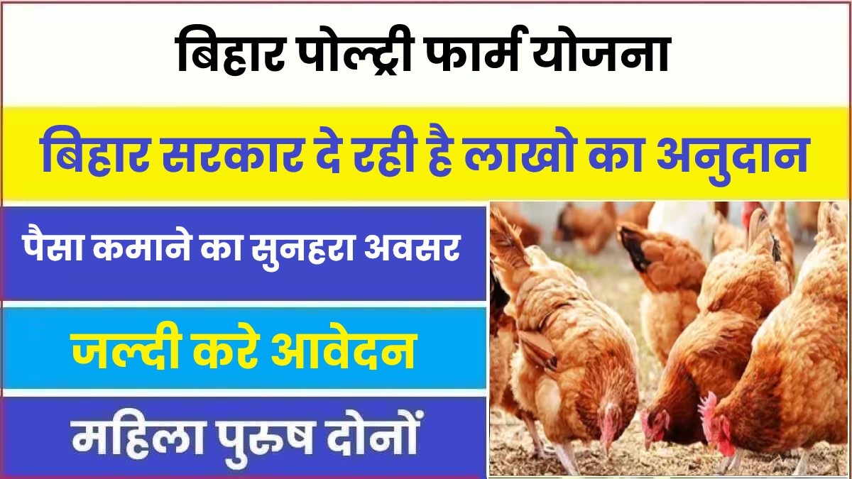 Bihar Poultry Farm Yojana 2023 | बिहार पोल्ट्री फार्म योजना सरकार देगी लाखो का अनुदान, जल्दी करें आवेदन